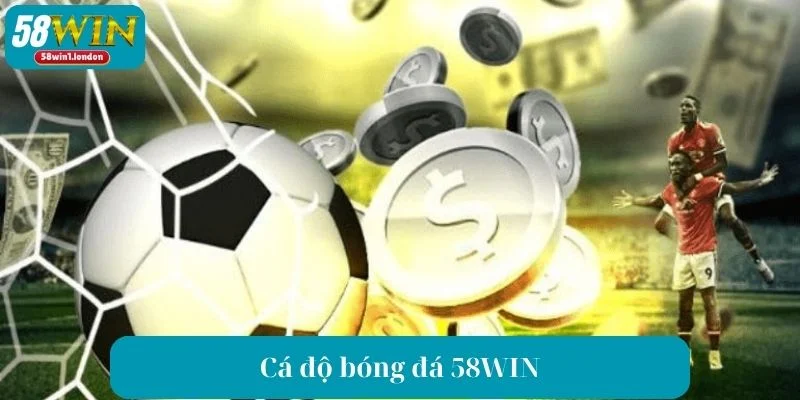 Cá Độ Bóng Đá 58WIN - Nơi Giúp Bet Thủ Kiếm Về Tiền Tỷ