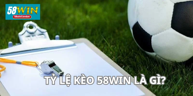 Tỷ lệ kèo 58WIN được nhà cái thiết lập đa dạng.